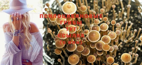 гашишное масло Балахна